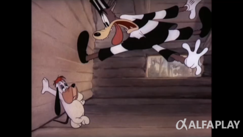 image82923731caac4f9d.png