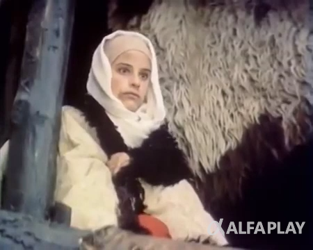 imagebb4e677579f09fed.png