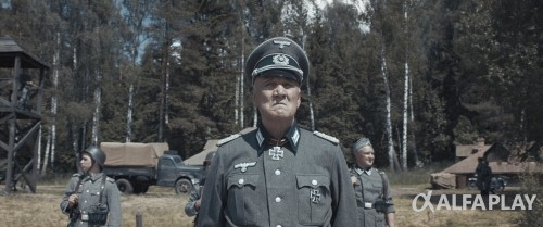 1920x557f8c20b37767e9.jpeg