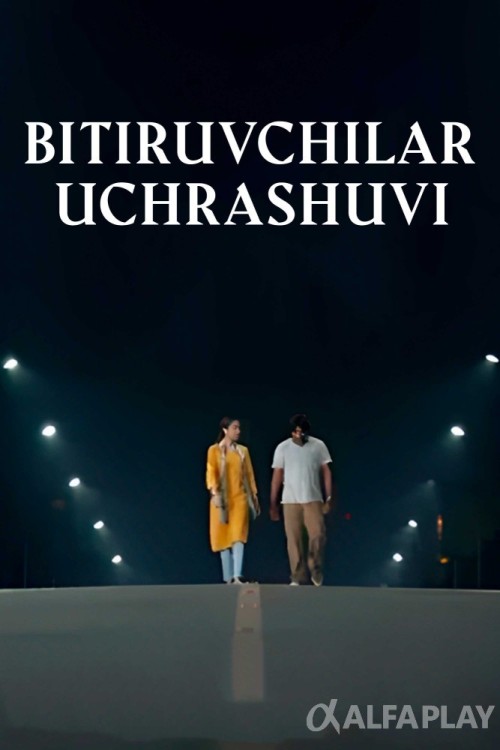 poster_vf1bd269549ed61e6.jpg