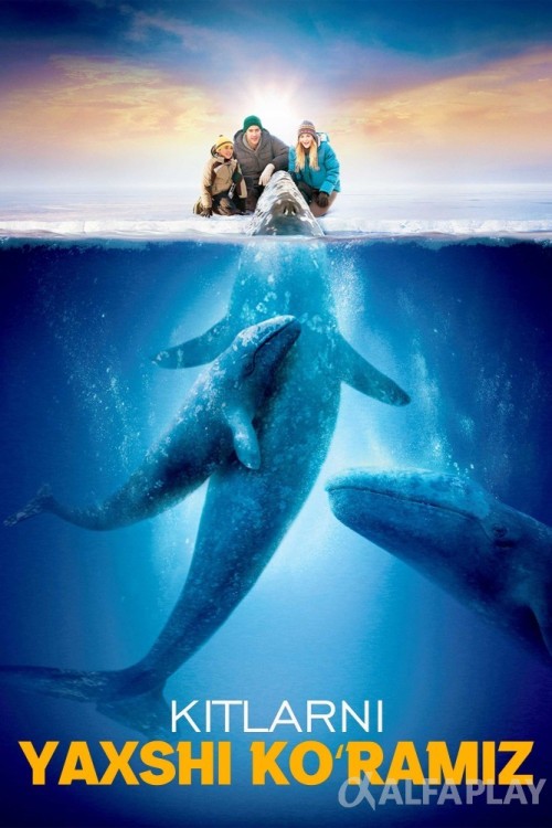 poster_vda15c2f0c6946e66.jpg