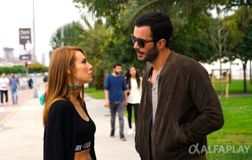 w1500_134987848ec0b71b0468644.jpg