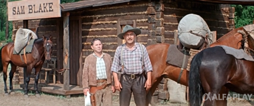 image937c9dba2292d751.png