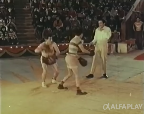 image07045bf89820ce72.png