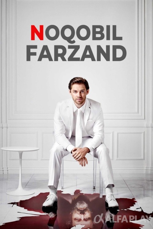 poster_v75cfa3b3bc43a17d.jpg