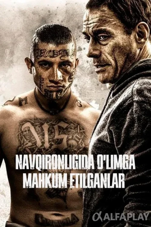pb_poster1ffe83f3c8b6211c.webp