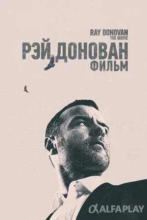 pb_posterca384dae3ca35c9c.webp