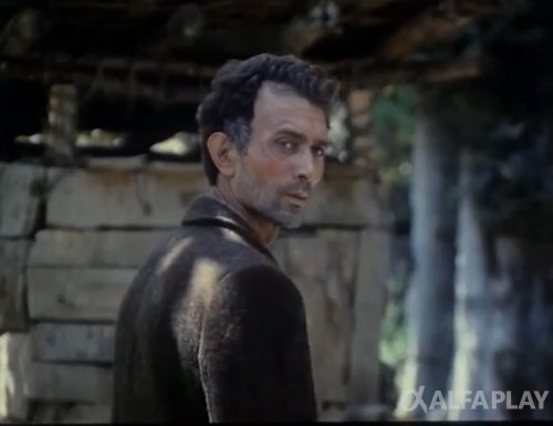 image7ad07a8c8561bb86.png