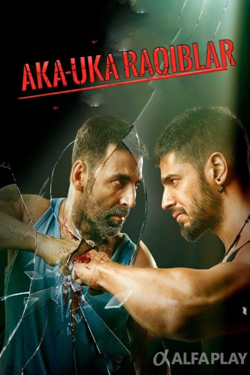 poster_v736b8a3bf39cab30.jpg