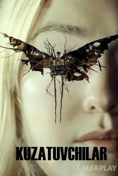 pb_poster13ed02df55a31a3d.webp
