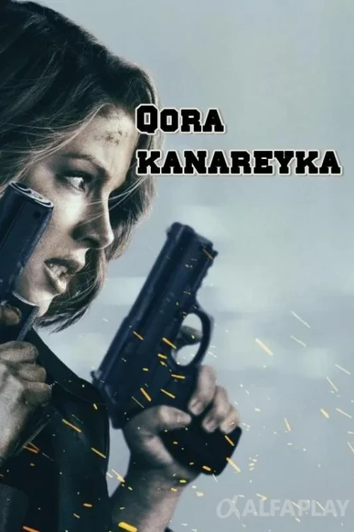 pb_poster1caebefb52872bec.webp