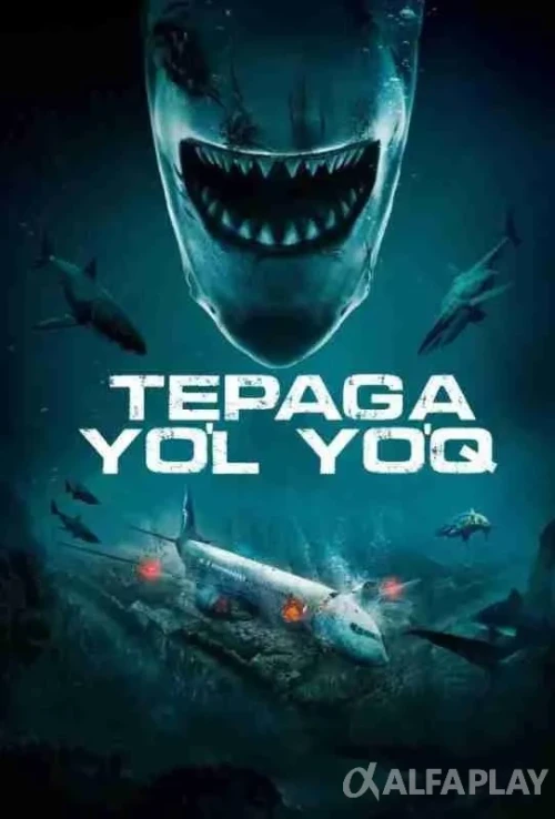 pb_poster2649a39bab2f5255.webp