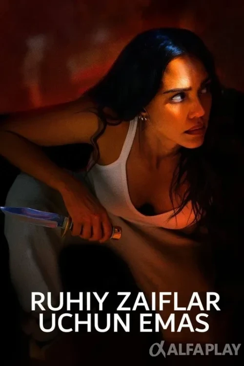 pb_poster9a04e7e280f6a7f6.webp
