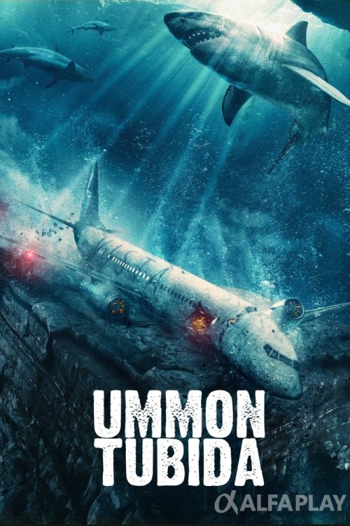 poster_v33e64220f0d49bf8.jpg