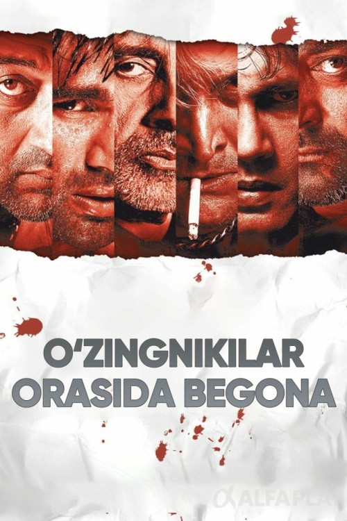 poster_v5fead409691fe761.jpg