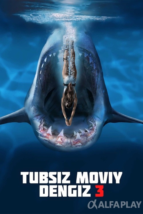 poster_v0aa736d540a9dbc2.jpg