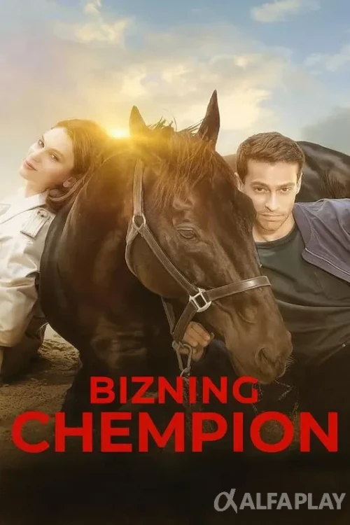 pb_poster3534849a7be3a3eb.webp