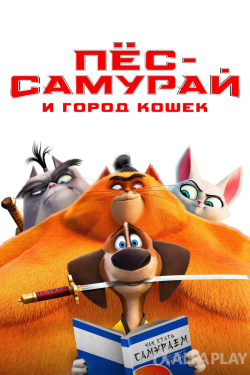 image5d4edabb25598a84.png