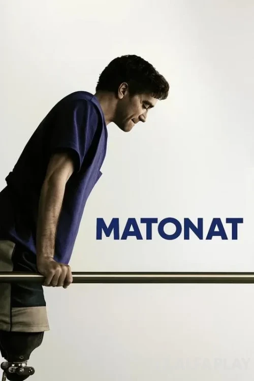 pb_poster783af679268f8a77.webp