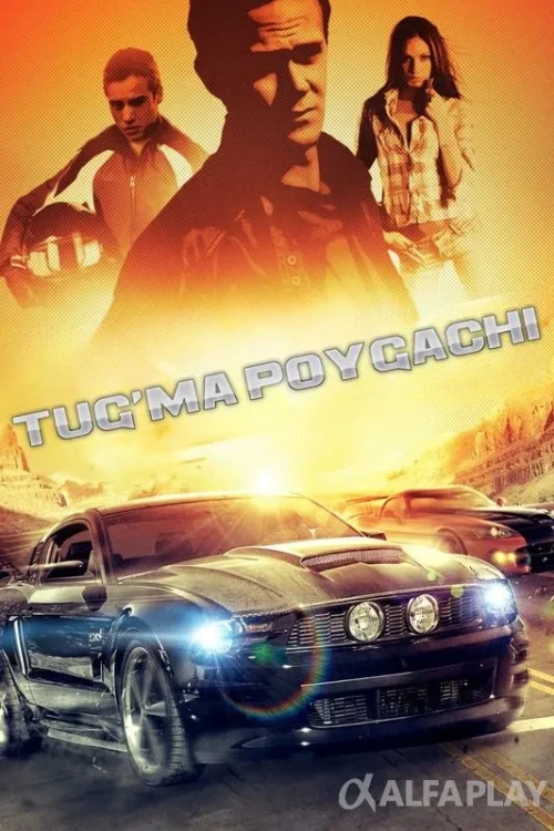 pb_poster7b632e00101406ed.webp