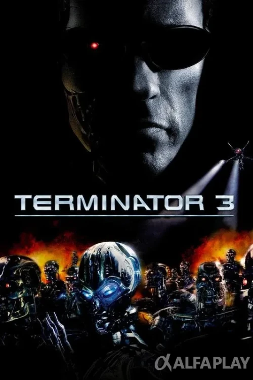 pb_poster13012215294e7244.webp