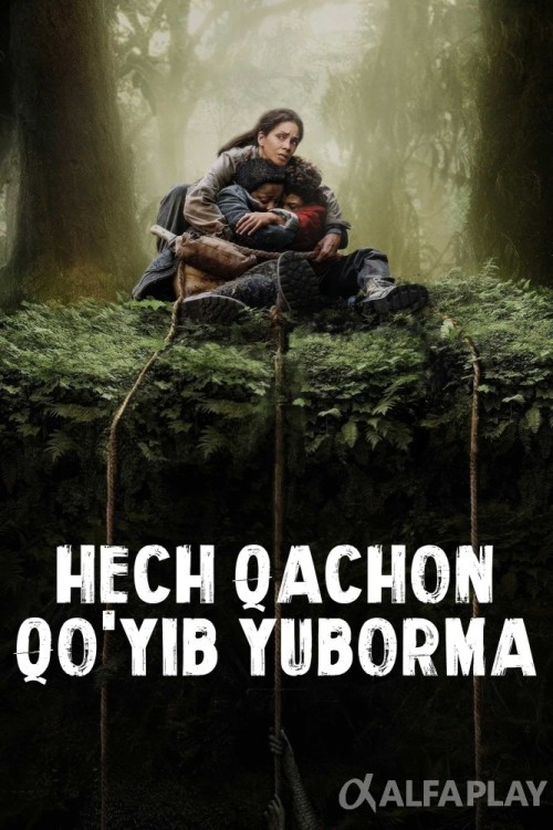 poster_va6a100b49f5675e9.jpg