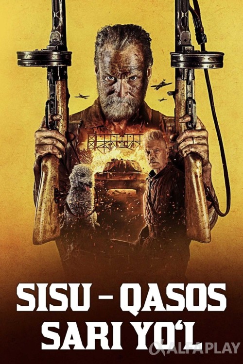 poster_v9e3ee9f017fd8c2c.jpg