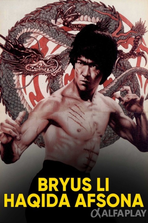 poster_vdcbdf1d18620f81a.jpg