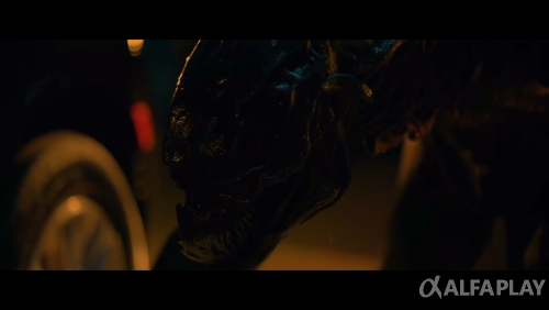 image253747e36f08b3ef.png