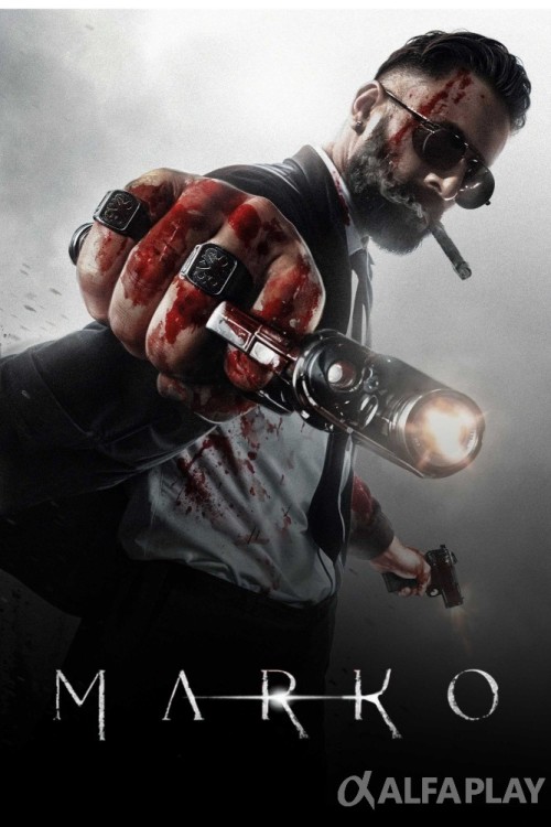 poster_v04fd3ee1b8d0c644.jpg