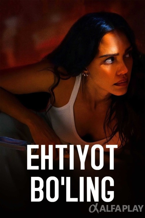 poster_v6530735aa39979f7.jpg