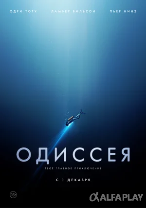 image355be34ef6677cb8.png