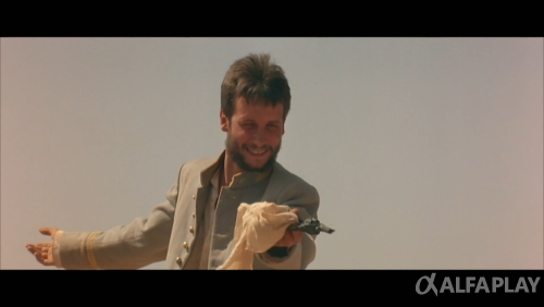 image36263b78694ebac6.png
