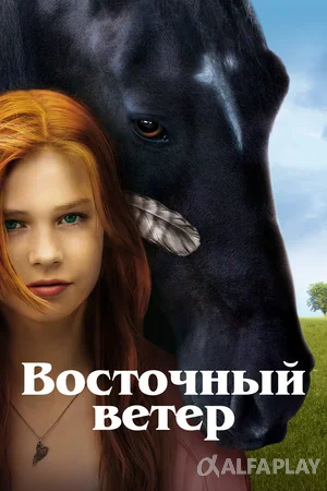 imagef5ded498fd65599c.png