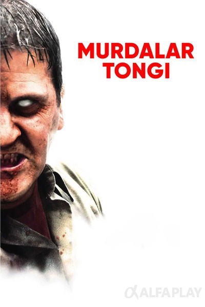 poster_v.large6eff723c47c855d3.jpg