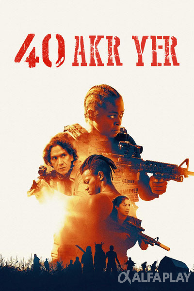 image2cf3687e29b95050.png