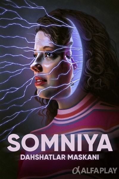 poster_v.large2b09d2e2a07e723b.jpg