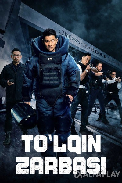 poster_v.large48738a5763df3a55.jpg