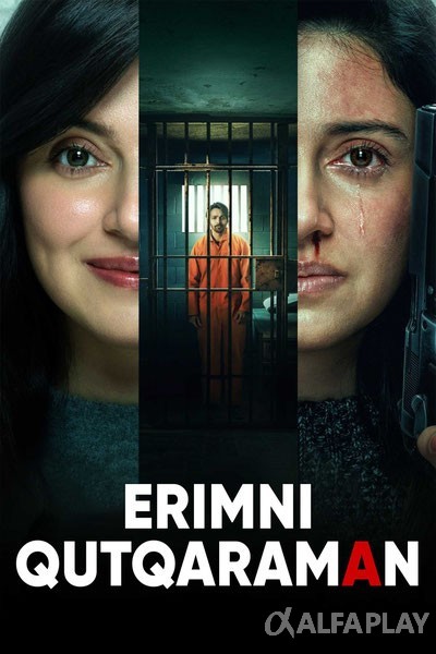 poster_v.large93bced4752da2be2.jpg
