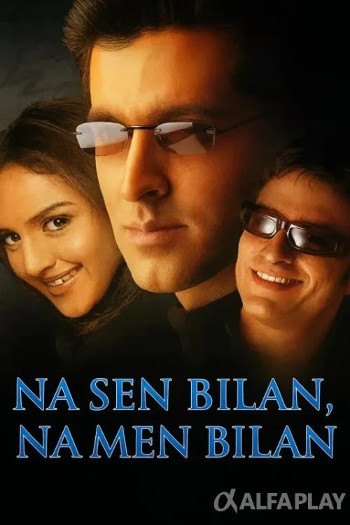 pb_poster365a5a13d4bf1976.webp