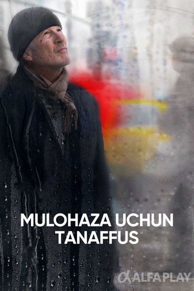 poster_v.largec24f661118af109a.jpg