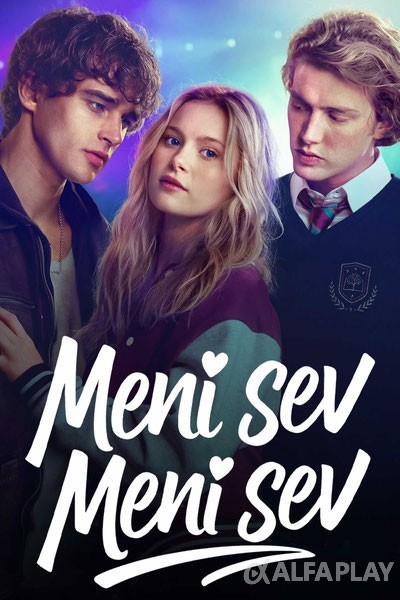 poster_v.large91668020a31e53d7.jpg