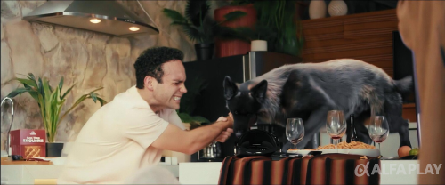 image5e2d62ab5b05eb01.png
