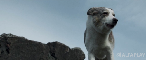 image03d7bb7a75201d3c.png