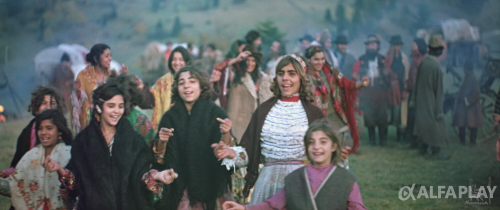 image1d8b5b04588499bd.png