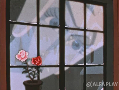 image25eba6a36f62abc4.png