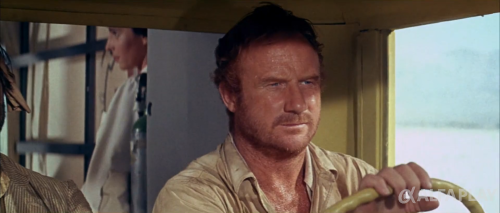 imagedad53d394e52a10e.png