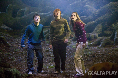 image06e30fcd09b96857.png