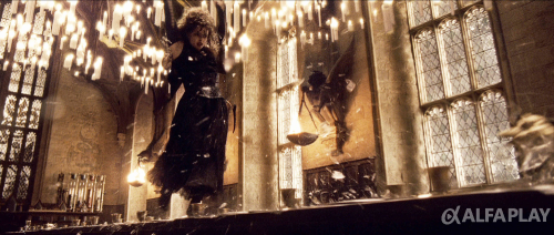 image729164d1376a2b97.png