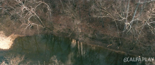 imageba0ca2b452ad2775.png